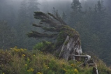 cape meares beach